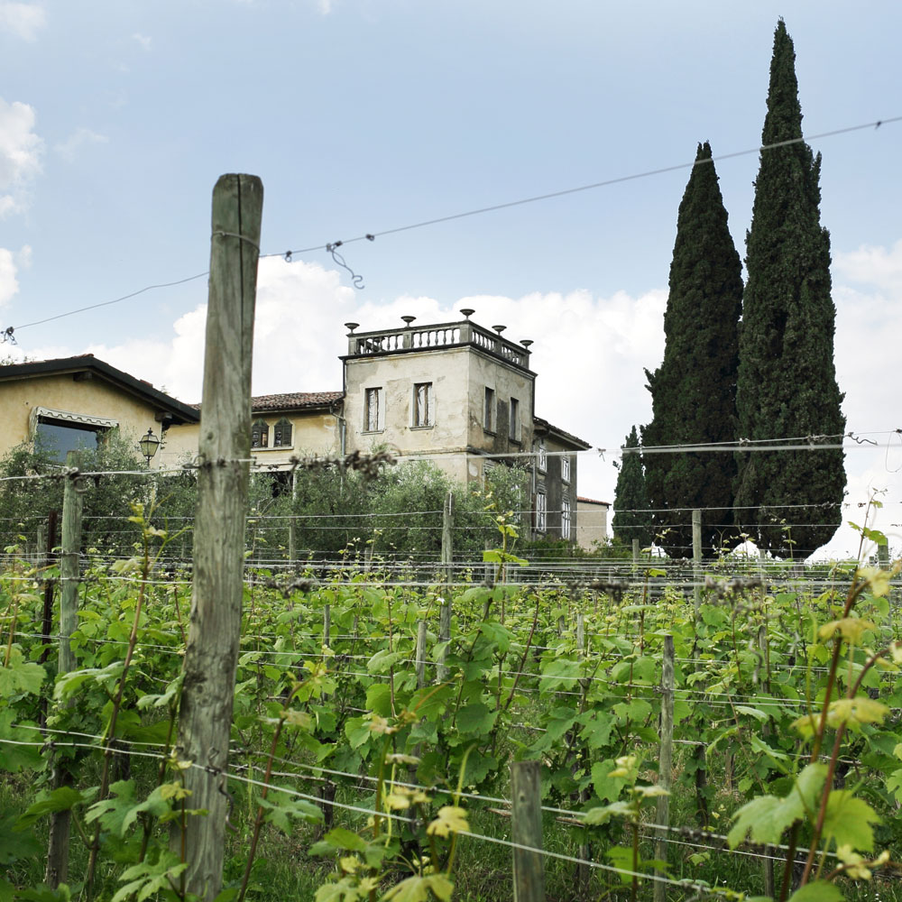 Azienda Agricola Cantrina