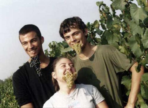 Harvest 2005